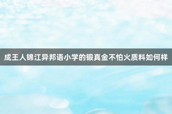 成王人锦江异邦语小学的锻真金不怕火质料如何样