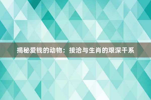 揭秘爱钱的动物：接洽与生肖的艰深干系