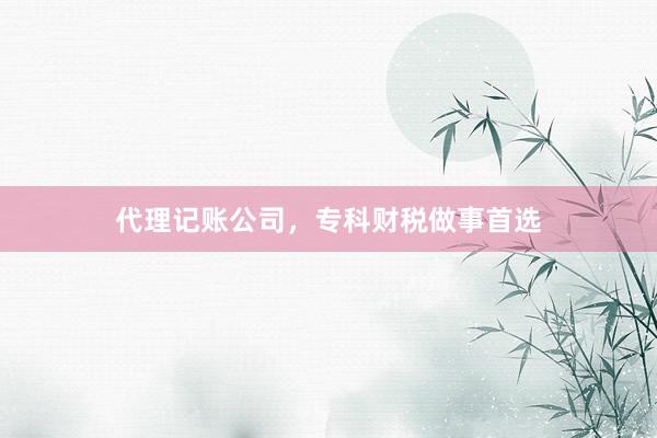 代理记账公司，专科财税做事首选
