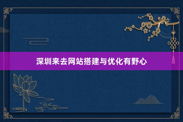 深圳来去网站搭建与优化有野心
