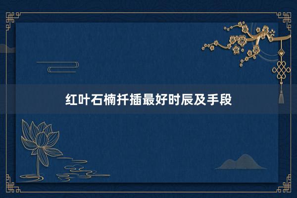 红叶石楠扦插最好时辰及手段